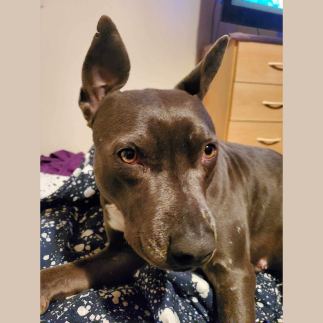 Photo of Lily