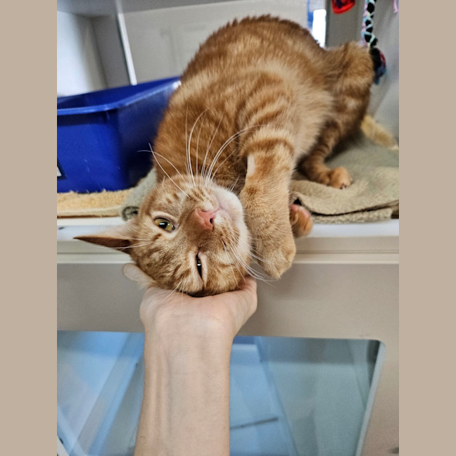 Photo of Sammy