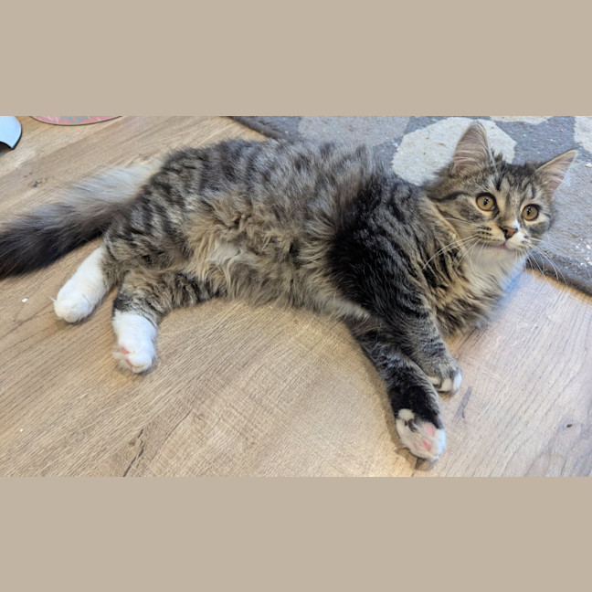 Photo of Alice