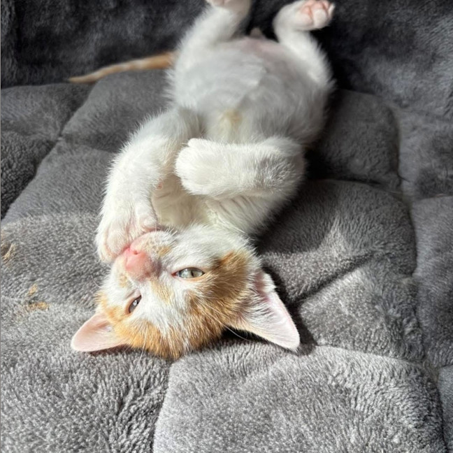 Photo of Fred
