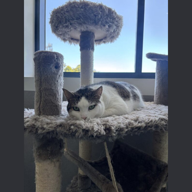 Photo of Sammi