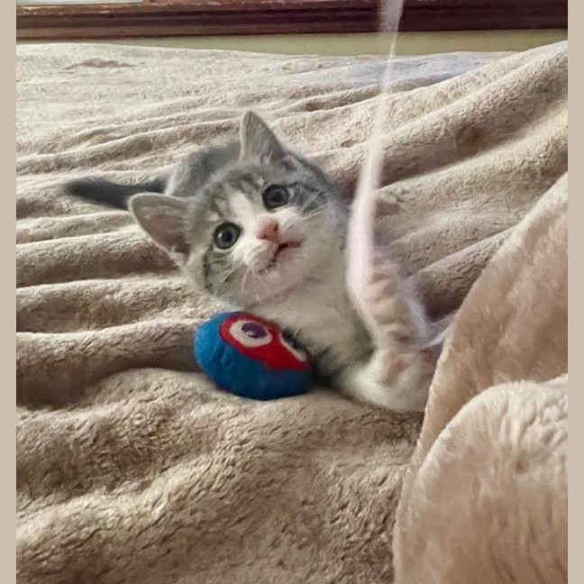 Photo of Minnie Mimi