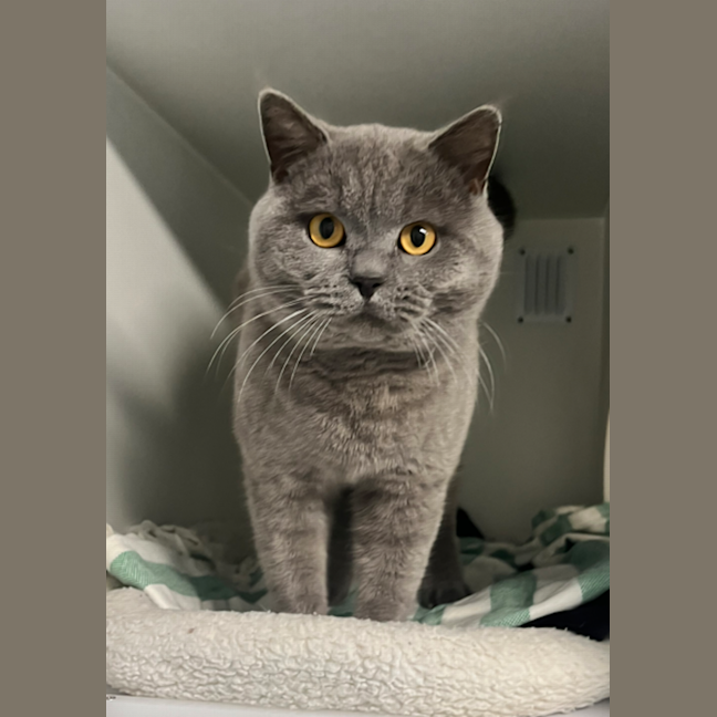 Photo of Percy