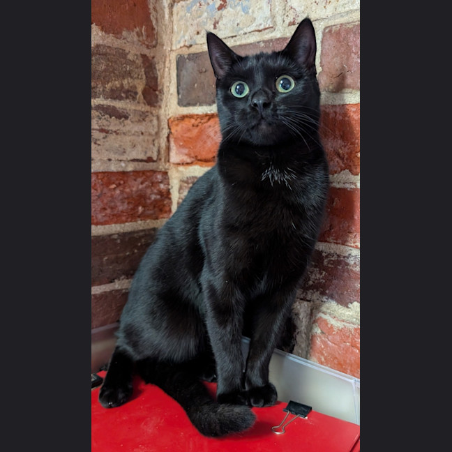 Photo of Gretel