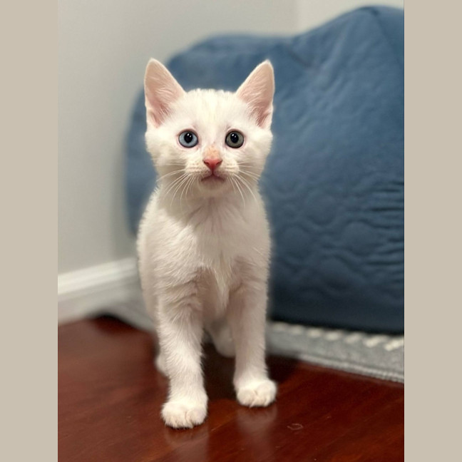 Photo of 💜Greyson 💜