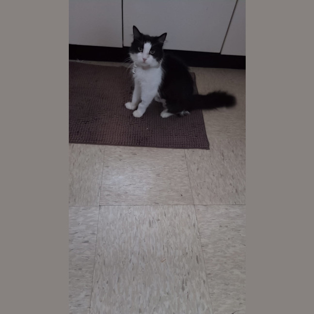 Photo of Miss Biccies