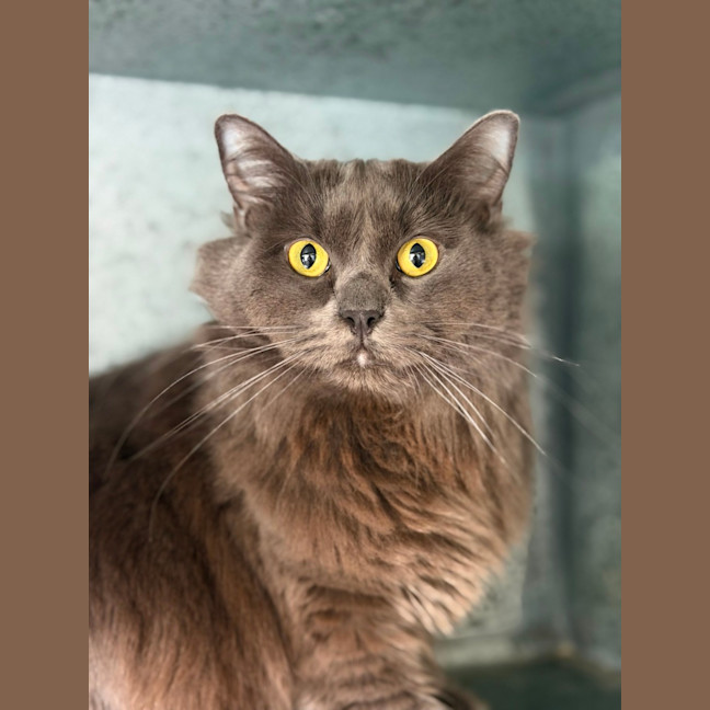 Photo of Tucker