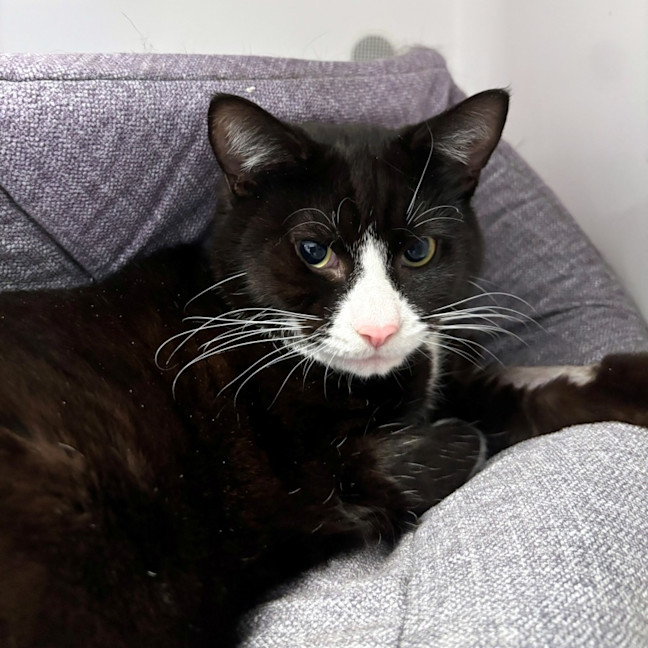 Photo of Eddie Sta014132