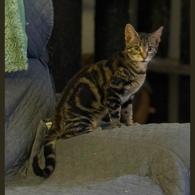 Photo of Sophie 