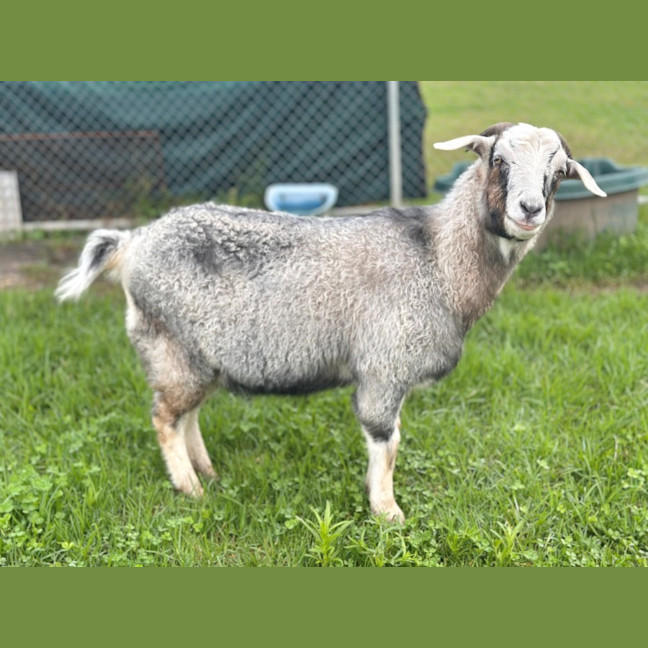 Photo of Gary