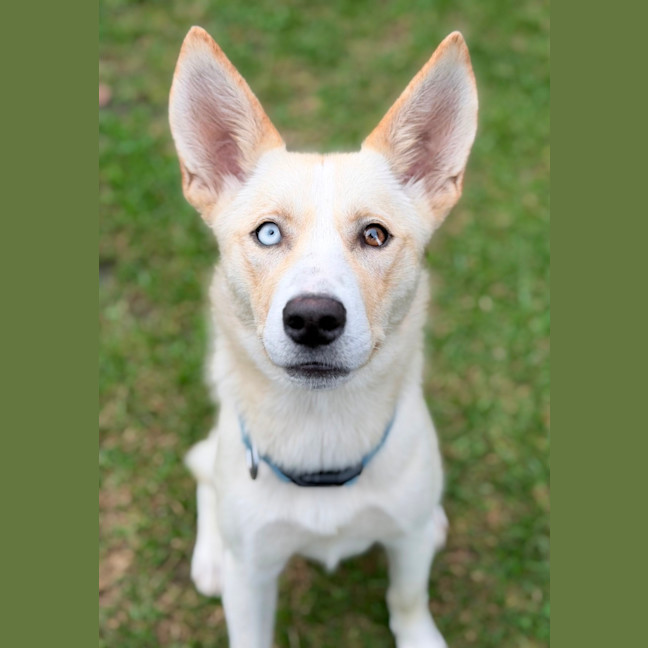 Photo of Sugar