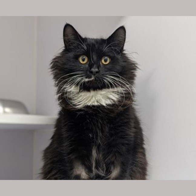 Photo of Boggle