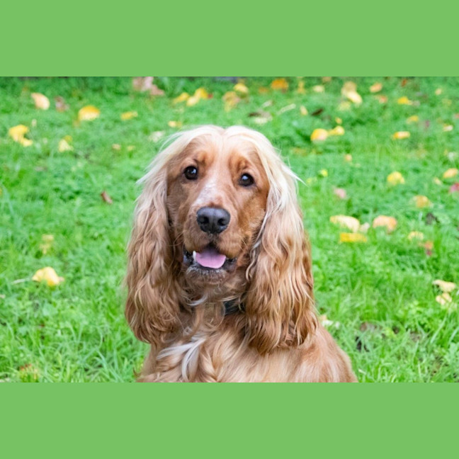 Photo of Cookie Dumont