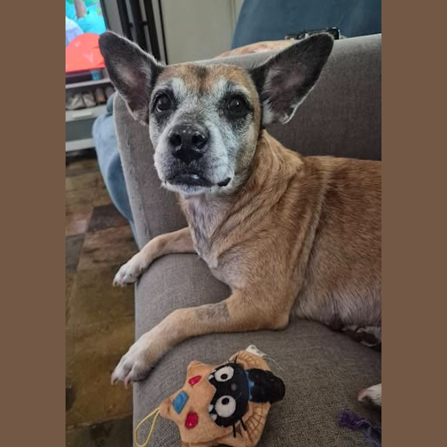 Photo of Winnie