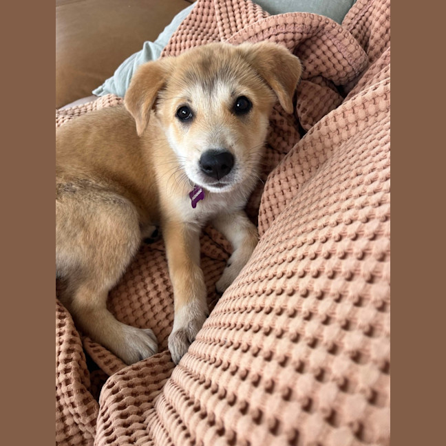 Photo of Jazz