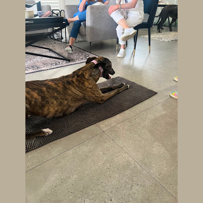 Photo of Lily