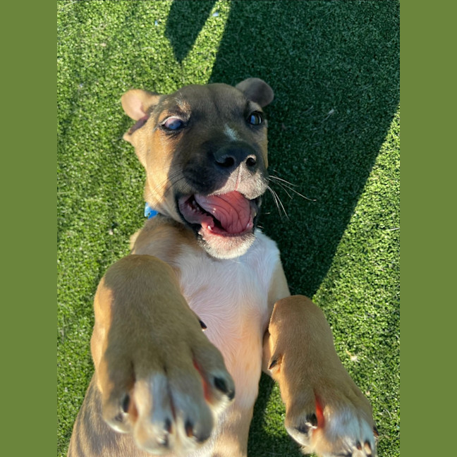 Photo of Cloud Imp 1722