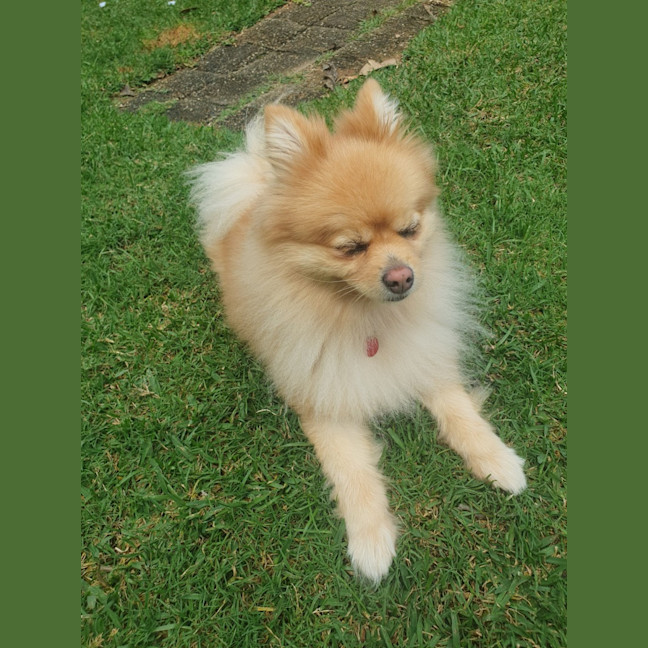 Photo of Grace