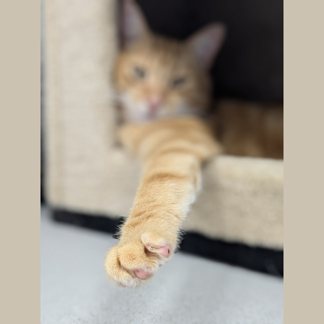 Photo of 🥝 Freddie 5515 🥝