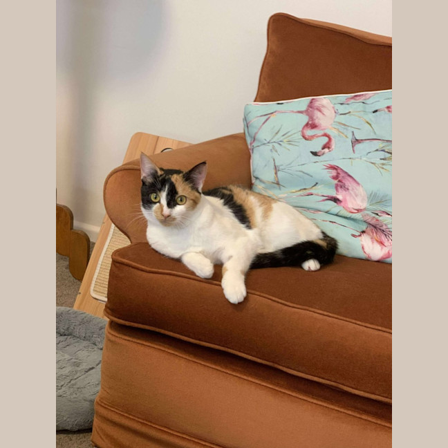 Photo of Maia   Located In Preston