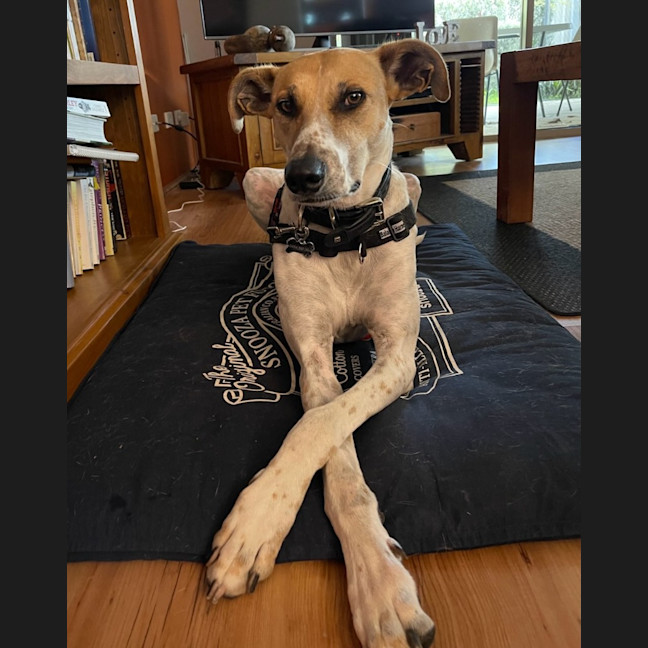 Photo of Jeena (Precious)