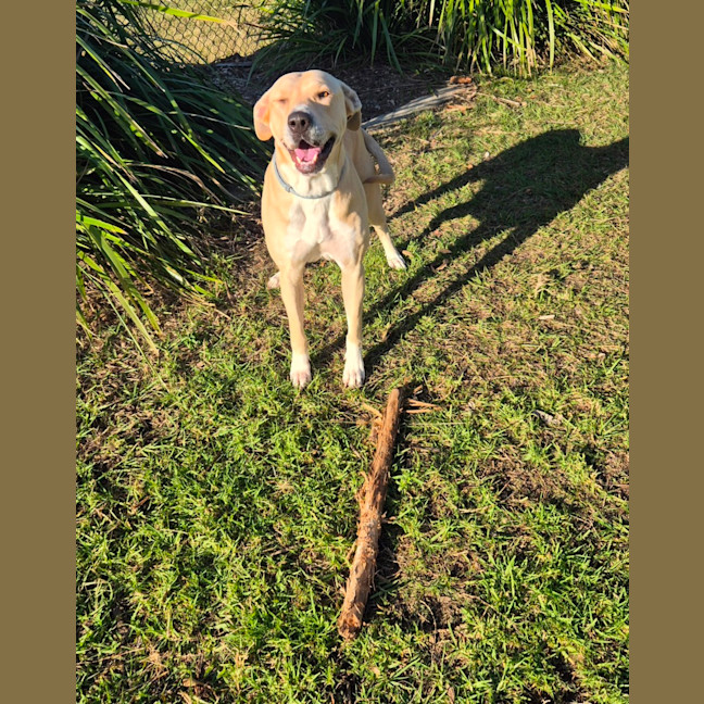 Photo of Narla (8063)
