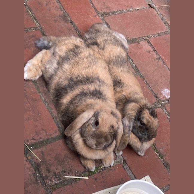 Photo of Patty & Selma