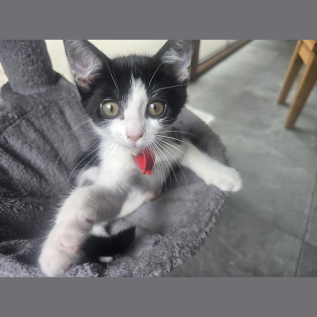 Photo of Jackie Chan