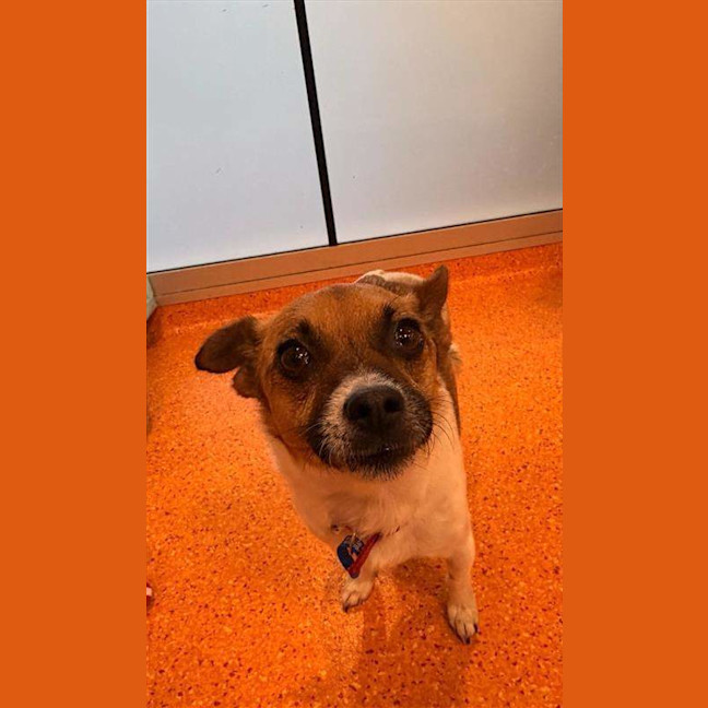 Photo of Hugo