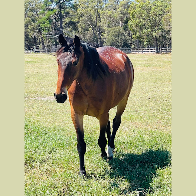 Photo of Voodoo