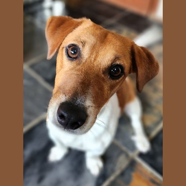 Photo of Jack Daniels