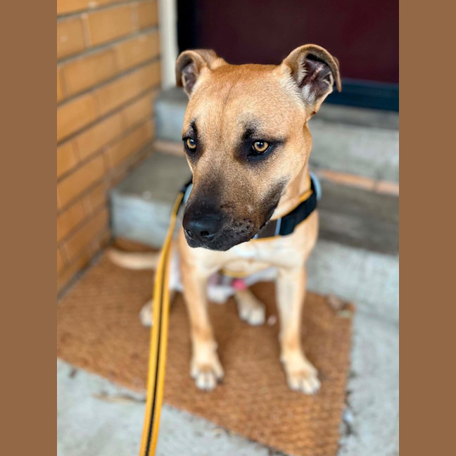 Photo of Maverick