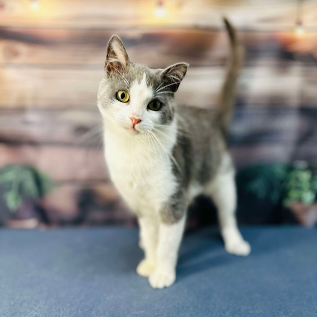 Photo of Lilly   Located In Brunswick East