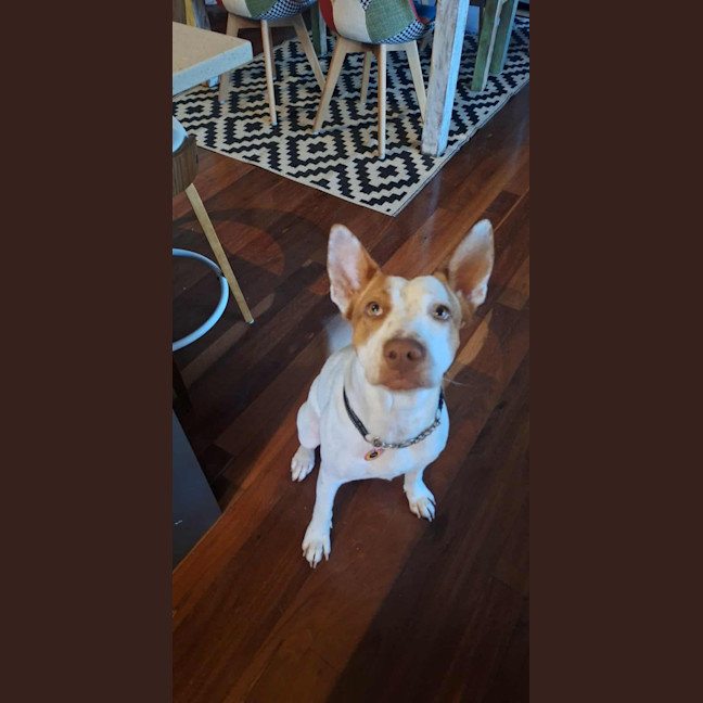 Photo of Adeline