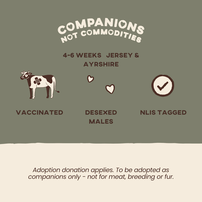 Photo of Albert, Oscar & Teddy