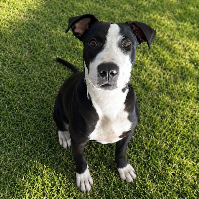 Photo of Charlie