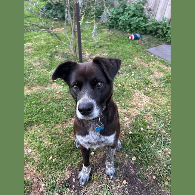 Photo of Tater