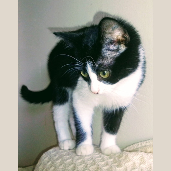 Photo of Elsa