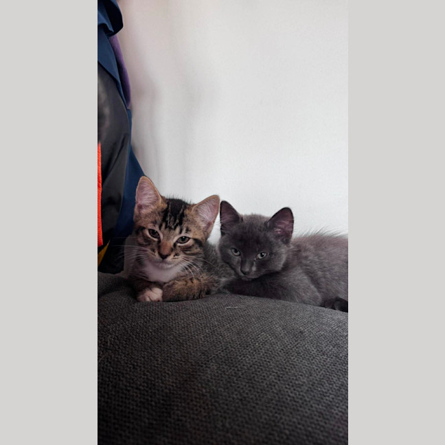 Photo of Fumo & Geez