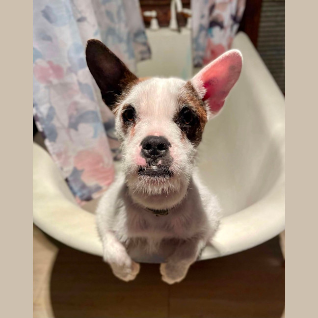 Photo of Jack