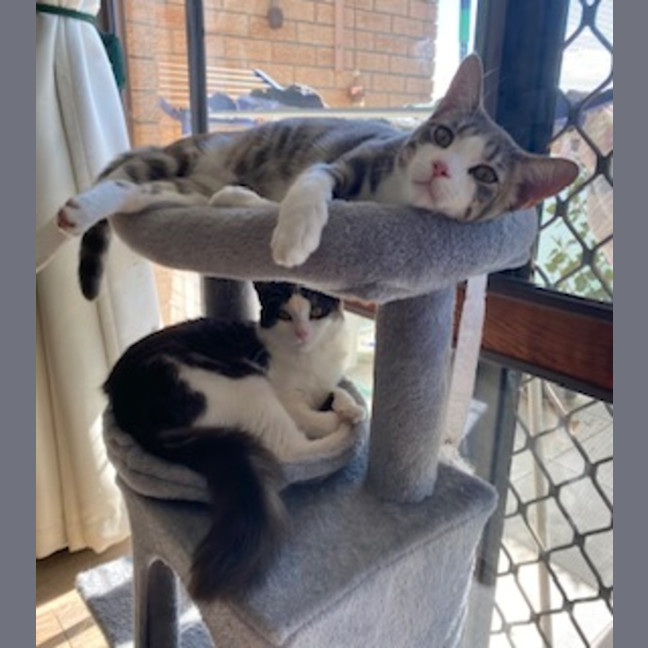 Photo of 💙George & 💜Lily