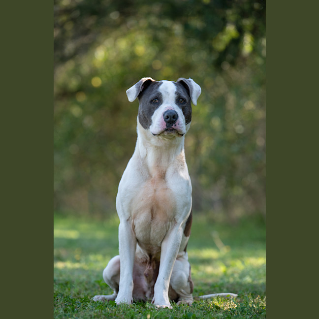 Photo of Zeus