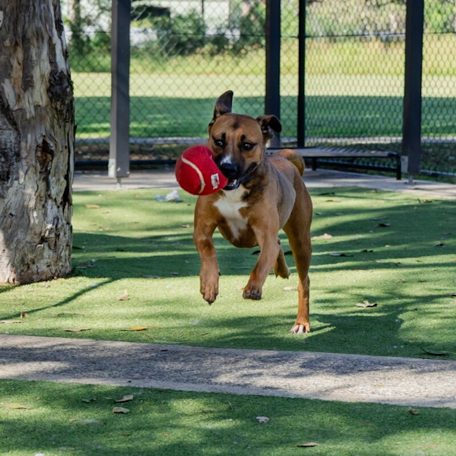 Photo of Athena