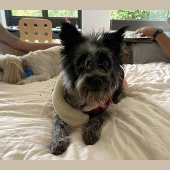 Photo of Truffles O’cleary