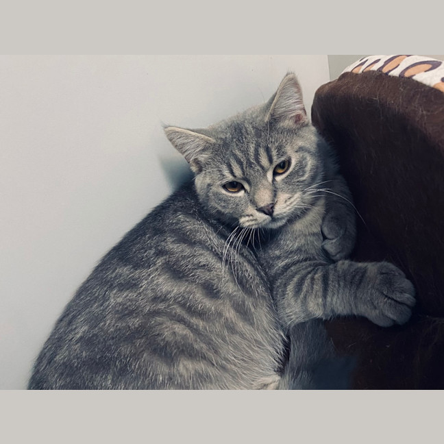 Photo of Gus