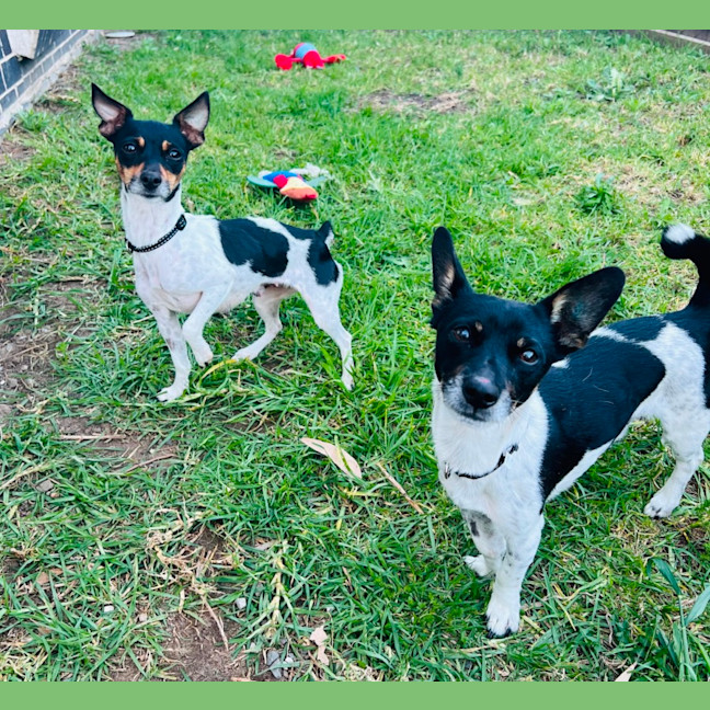 Photo of Jack And Jill 