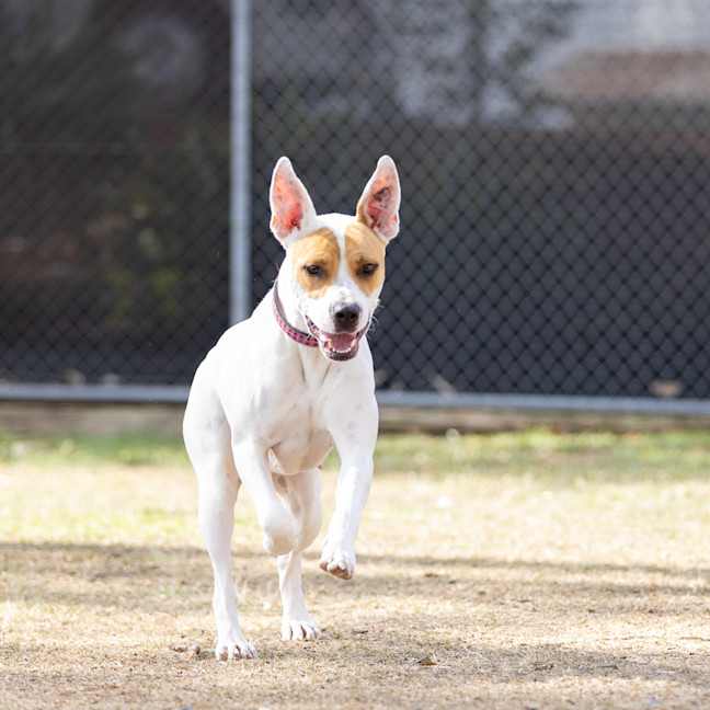 Photo of Marnie