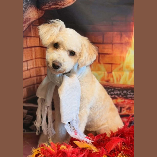 Photo of Lucinda