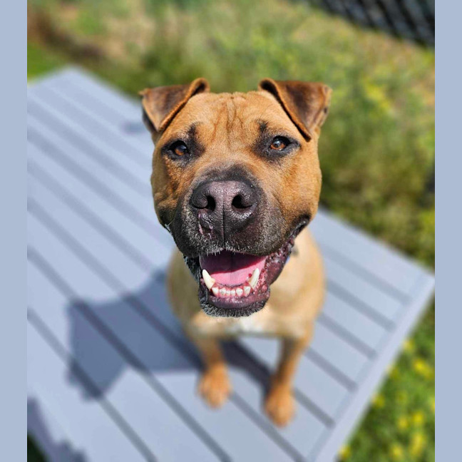 Photo of Tank