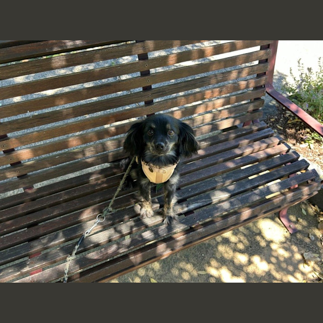 Photo of Tommy Allbright